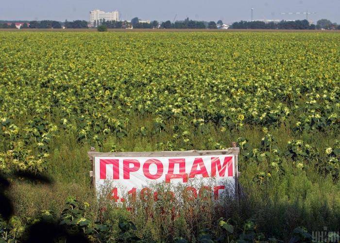Український ринок землі через війну втратив вже $325 млн
