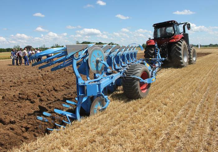 В Україні скоротяться посівні площі під зерновими та олійними культурами