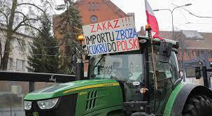 Польща визначилася з переліком українських агропродуктів, які бажає заблокувати 