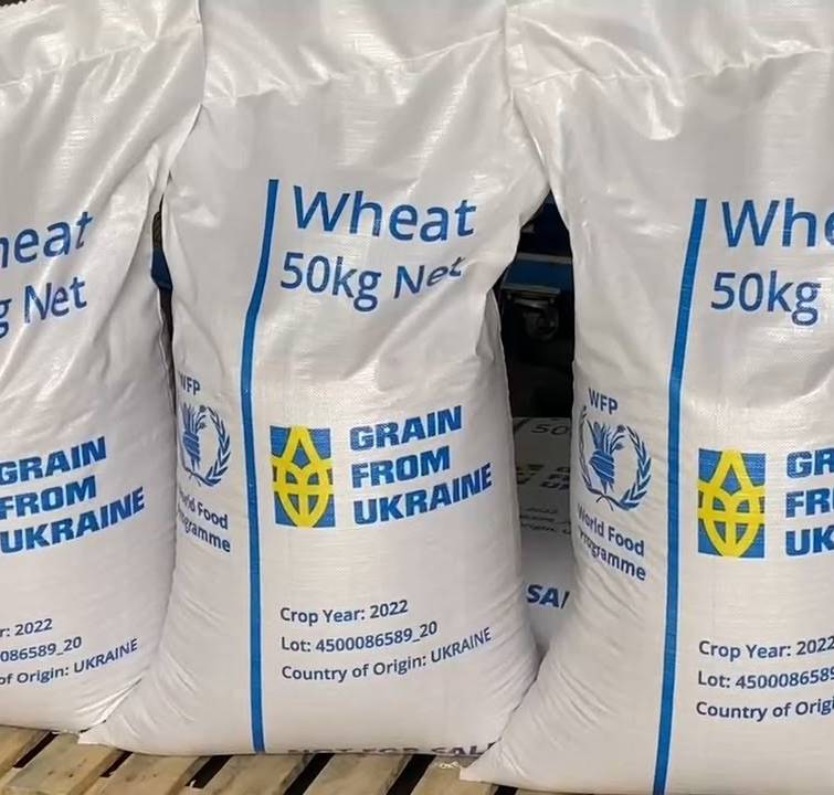 Украина ищет новые маршруты для Grain from Ukraine даже во время войны