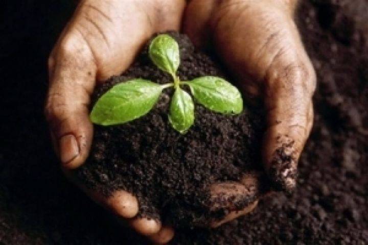 Україна презентувала Стратегію розвитку сільського господарства до 2030 року