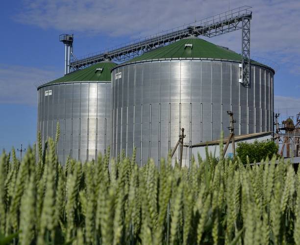 Україна впорядковує ринок зернових Ukraine regulates the grain market