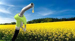 Biofuel installations receive a zero hryvnia environmental tax rate