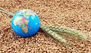 Ukraine, together with Britain, will teach everyone to determine the origin of grain exported by Russia