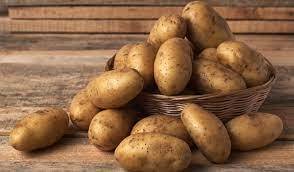 Three crops of potatoes can be grown in a year in Ukraine