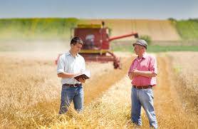 Producers of grain and oil crops are most interested in purchasing Ukrainian agricultural land