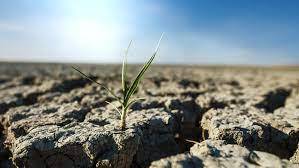 Drought has already affected more than half of Ukraine's agricultural lands.  