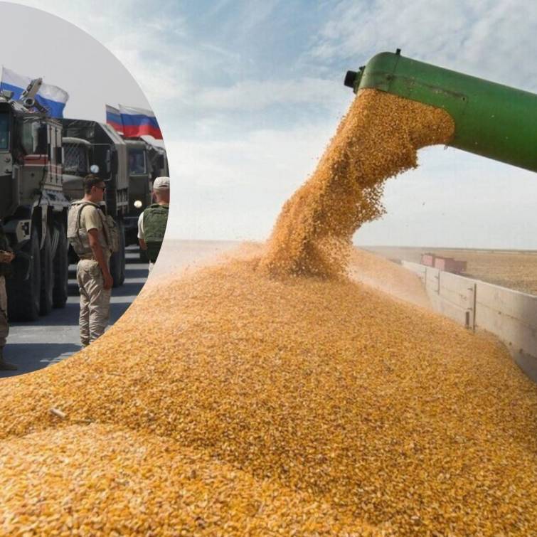 Украина страдает от краж зерна россиянами