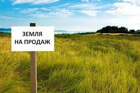 Украинский рынок аграрных земель в этом году увеличился на 30%