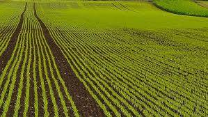 The agricultural land market in Ukraine has increased by 30%  