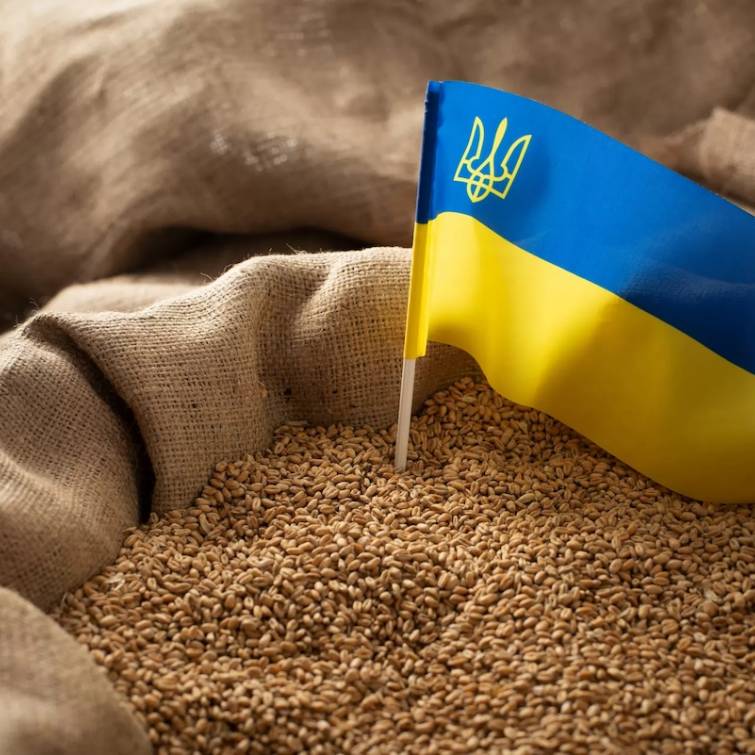 В 2025 году поддержка агропромышленной отрасли будет стоить госбюджету более 5 млрд. грн.