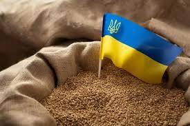 Украинский аграрный сектор готовится к переменам – отечественное зерно получит новый цифровой паспорт