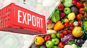 Правительство обновляет экспортную стратегию для агропродукции