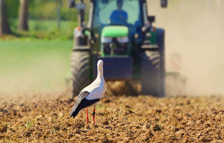 The 2025 harvest started simultaneously with the end of the sowing season.
