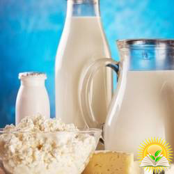 Названы ТОП-5 стран-импортеров украинской молочной продукции