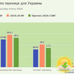 Прогноз кінцевих запасів пшениці в Україні підвищено - USDA