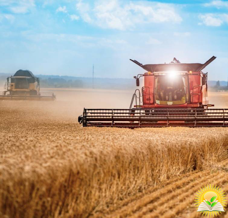 Harvesting campaign 2020 completed in Ukraine