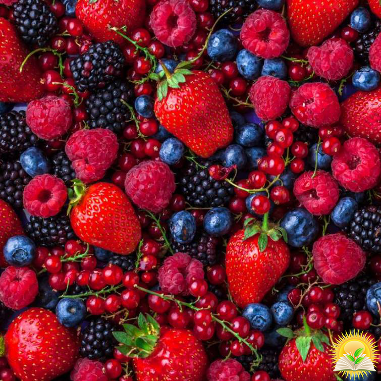 Export of Fruit and Berry Products in Ukraine Decreased