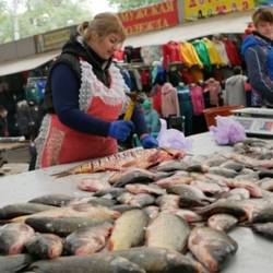 МОЗ дозволив відкрити продуктові ринки