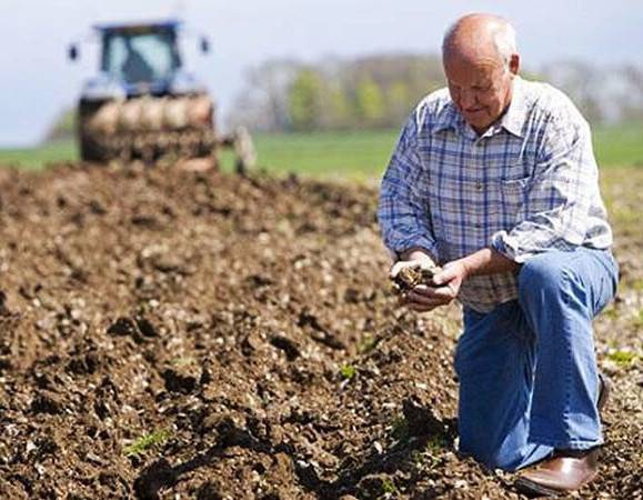 В Украине создадут Фонд гарантирования кредитов для аграрных компаний
