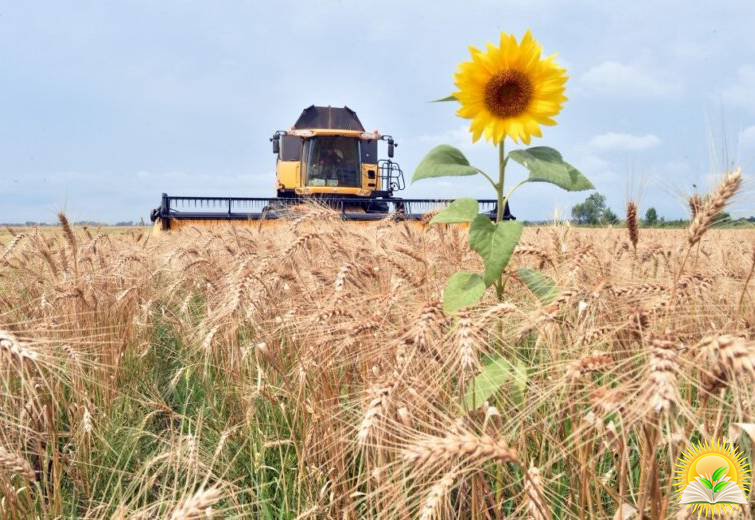 Ukraine Plans to Increase Supplies of Seed to the EU