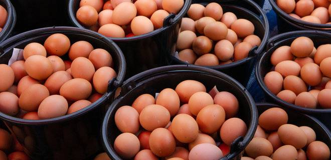 The Government Will Support Egg Producers