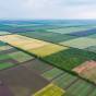 The price of agricultural land in Ukraine can reach up to 45,000 per hectare