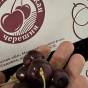 The Russians stole the Ukrainian geographical brand "Melitopol Cherry"